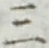 Character 三