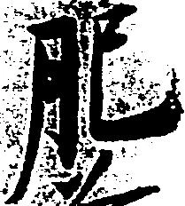 已定位肥