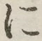 글자 に