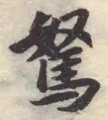 駑 위치 확인됨