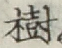 글자 樹