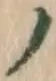 글자 ノ