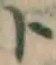 字ト