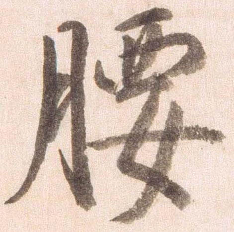 已定位腰