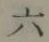 글자 六