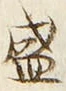 字盛