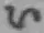 Chữ い