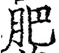 글자 肥
