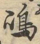 島 위치 확인됨