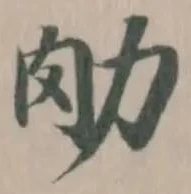 肋 위치 확인됨