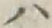 “ハ”字