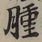 文字腫