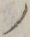 字ノ