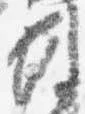 例 위치 확인됨