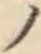 字ノ