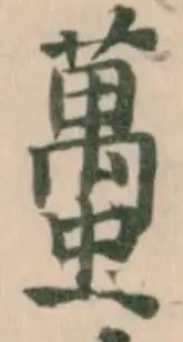 蠆 위치 확인됨