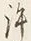 Chữ 許