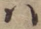 Đã định vị 𛂞
