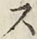 字ス