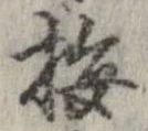已定位梅