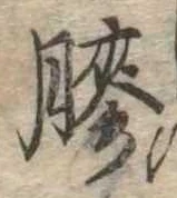 膠 위치 확인됨