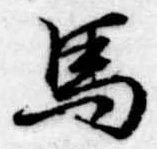 位置定マレル馬