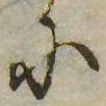 𛂋，已得其位