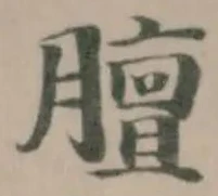 膻の位置