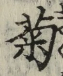 글자 菊
