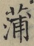 字蒲