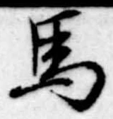 位置定マレル馬