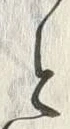 「と」字