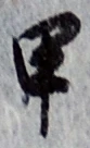 글자 甲