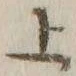 字上