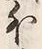 Chữ 外