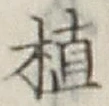 글자 植