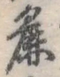 麁の位置