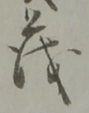 茂 위치 확인됨