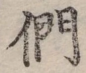 位置定マレル們