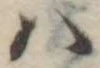 𛂞 위치 확인됨