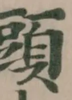 頭 위치 확인됨