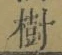 글자 樹