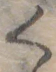 位置 確認된 く