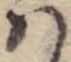 Đã định vị 𛂞