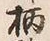 Character 柄