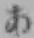 Chữ あ