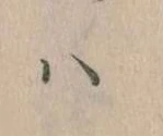 已定位𛂞