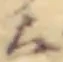 Located か