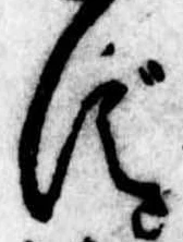 位置 確認된 ず