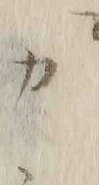 Chữ カ